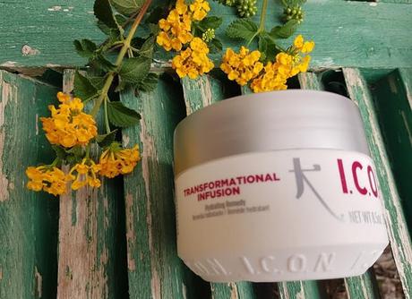 I.C.O.N, TRES PRODUCTOS PARA EL CABELLO QUE HE USADO EN LOS ÚLTIMOS MESES