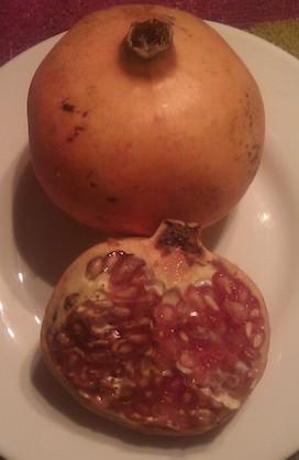 GRANADA: FRUTA DE OTOÑO