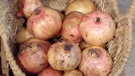 GRANADA: FRUTA DE OTOÑO