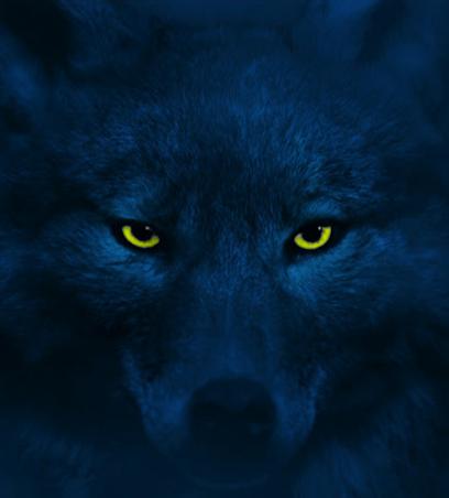 Con más ganas que nunca Con más ganas que nunca