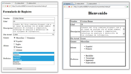 Ejemplo Formulario de componentes con JSF