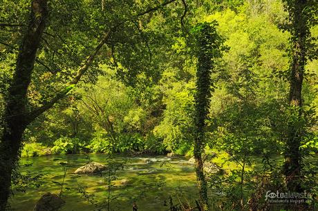 El río camuflado - Fotografía