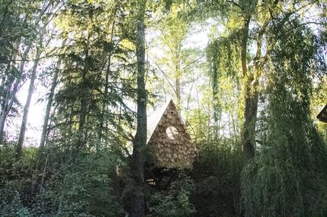 Casas en los árboles: las más espectaculares de los 5 continentes