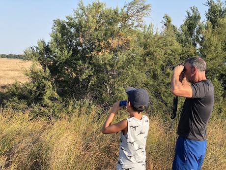 Visita a Doñana y el Rocío