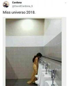 Miss España O Miss Memes???