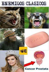 Miss España O Miss Memes???