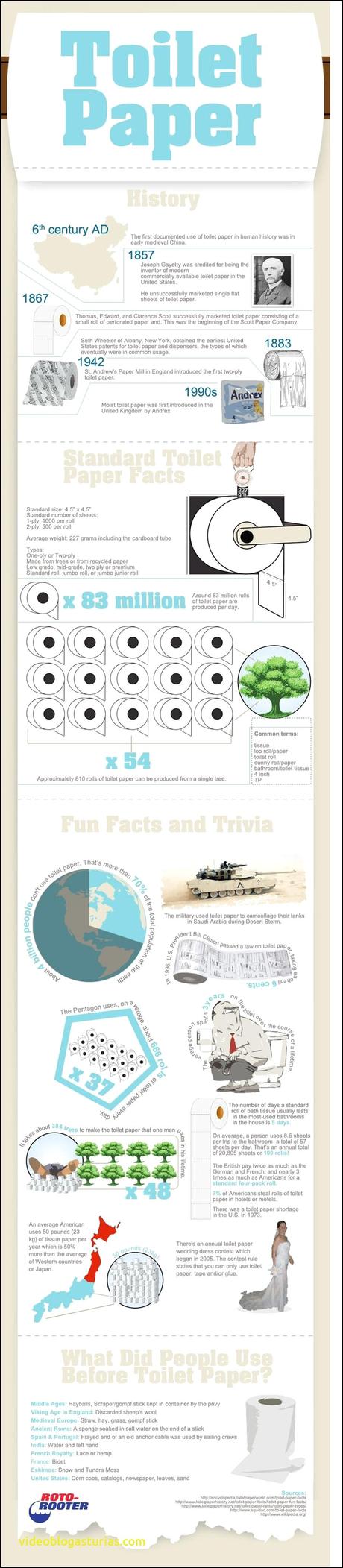 Beautiful Busy Bee Plumbing