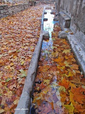 Día de otoño