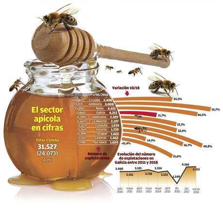El número de colmenas en Galicia aumenta un 41%, ocho veces más que la media nacional El número de colmenas en Galicia aumenta un 41%, ocho veces más que la media nacional
