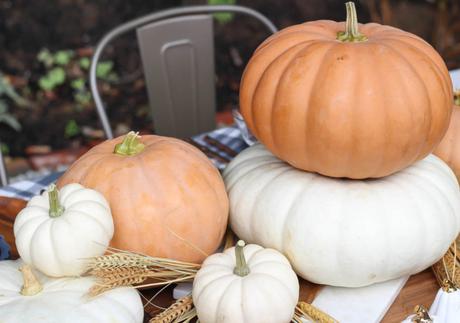 Una mesa de otoño con una decoración perfecta