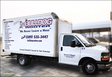 Elegant Busto Plumbing