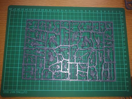 Foto-unbox de la caja de los Cawdor de Necromunda Foto-unbox de la caja de los Cawdor de Necromunda