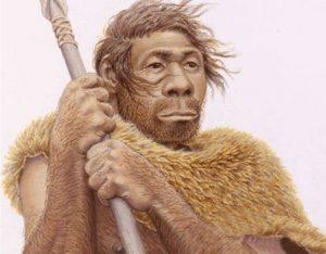 Evolución De Las Especies