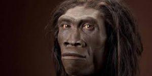 Evolución De Las Especies