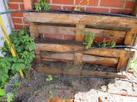 huerto vertical en palés