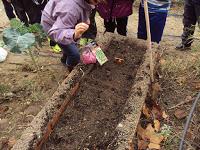 siembra en el huerto urbano