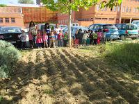 siembra en la zona de ajos y cereales