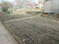 bancales en las parcelas de cultivo