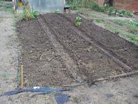 bancales en las parcelas de cultivo