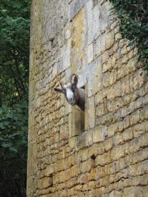 Catástrofe en Mallorca.