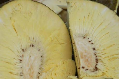 Directora IIBI destaca utilidad de la Castaña o Buenpan, para elaborar panes, galletas y bizcochos.