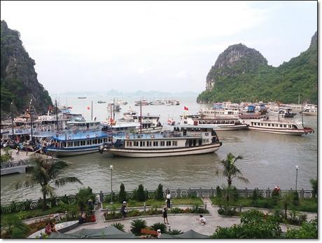 El jardín de Vietnam El jardín de Vietnam