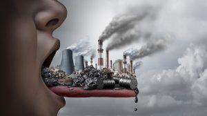 Causas Y Consecuencias De La Contaminación Ambiental