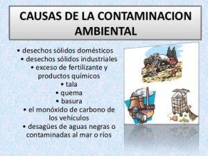Causas Y Consecuencias De La Contaminación Ambiental