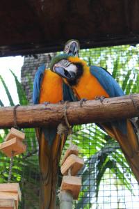 Foz do Iguaçu sin agencia