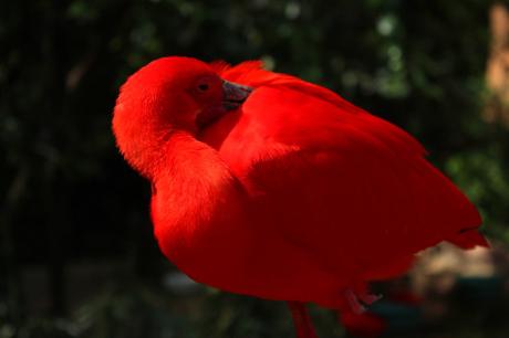 Foz do Iguaçu sin agencia