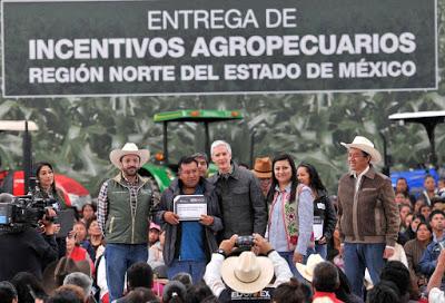 ENTREGA ALFREDO DEL MAZO APOYOS AGROPECUARIOS A MÁS DE MIL 700 PRODUCTORES DEL NORTE DEL EDOMÉX ENTREGA ALFREDO DEL MAZO APOYOS AGROPECUARIOS A MÁS DE MIL 700 PRODUCTORES DEL NORTE DEL EDOMÉX