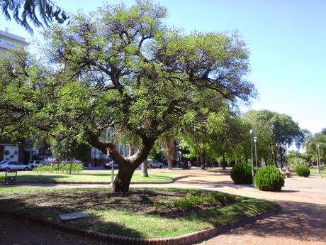 Una plaza uruguaya