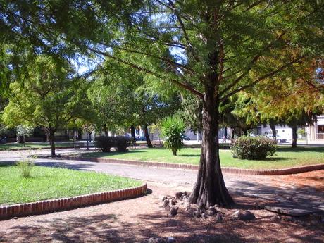 Una plaza uruguaya