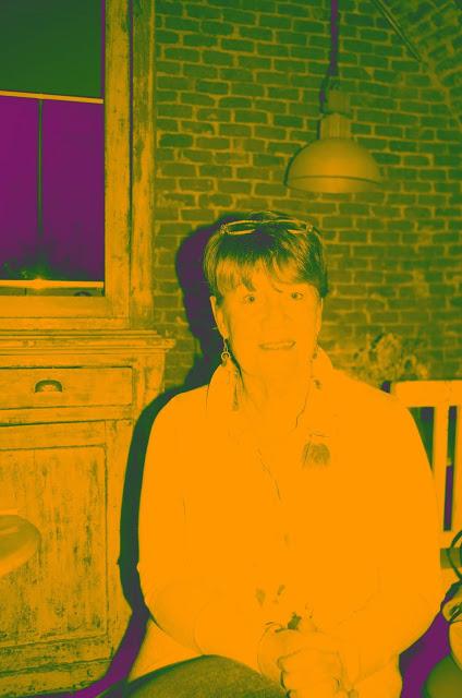 ENTREVISTA A FIONA BARTON