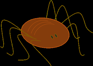 Fotonatura XX: ¡Araña parece pero araña no es!