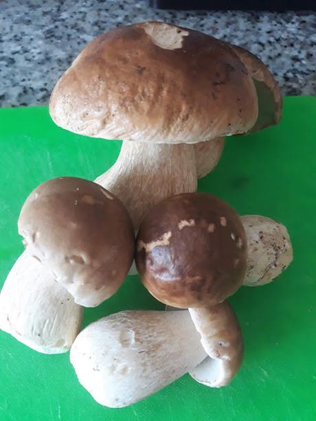 Salsa de boletus