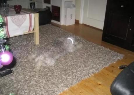 18 fotos  extrañas que tienes que ver