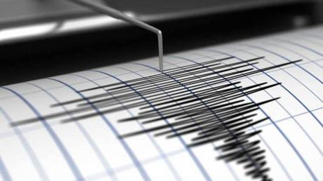 Terremoto de 6,5 Richter afecto a Nueva Caledonia, SHOA descartó posibilidad de tsunami en las costas de Chile