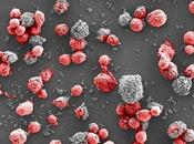 nueva arma contra cáncer: anticuerpos