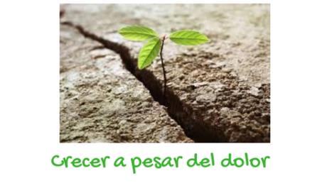 Día Mundial contra el Dolor Día Mundial contra el Dolor