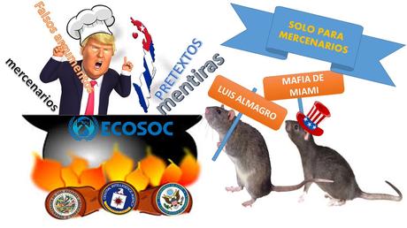 La nueva farsa de Washington, sus actores y su fracasado destino La nueva farsa de Washington, sus actores y su fracasado destino