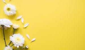 8 beneficios de la manzanilla para la salud - Trucos de salud caseros