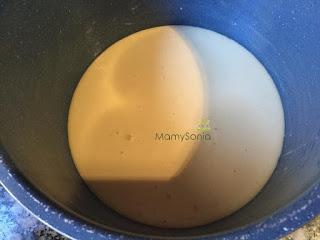 BIZCOCHO DE VAINILLA SIN GLUTEN EN THERMOMIX, TRADICIONAL Y OLLA GM