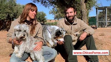 Ejercicio divertido para controlar la agresión del perro cuando estamos fuera Ejercicio divertido para controlar la agresión del perro cuando estamos fuera