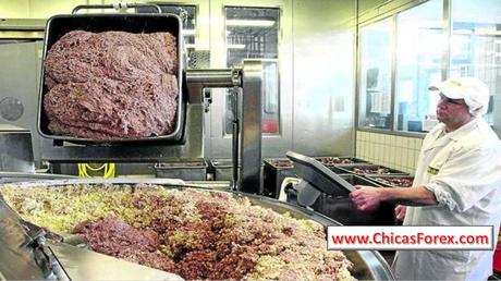 Los peligros de los alimentos industriales para animales