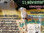 Jornada puertas abiertas sonrisa animal” (Mentrida)