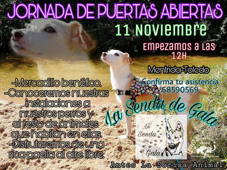 Jornada de puertas abiertas en “La sonrisa animal” (Mentrida) jornada puertas abiertas