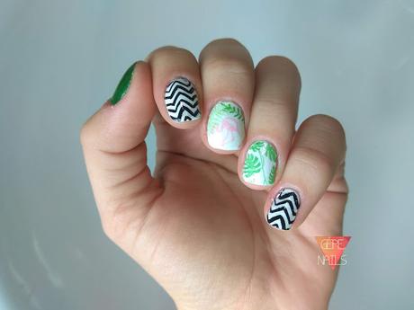 TROPICAL PUNCH | Colaboración con BPS TROPICAL PUNCH | Colaboración con BPS