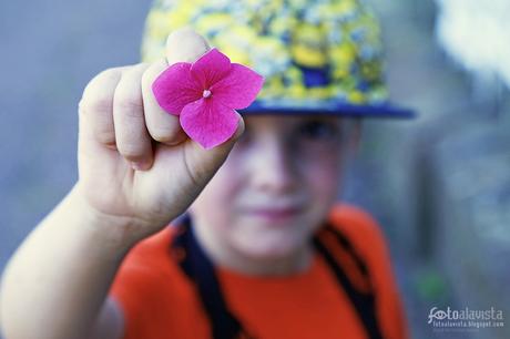 Toma una flor - Fotografía