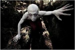 El Bosque Aokigahara, suicidas